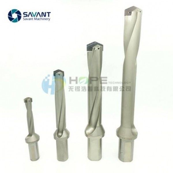 2D-5D 13-60 mm Excavadora de espadas inserta el soporte Savantec Carbide Excavadora de acero de alta velocidad